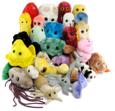 Plush STDs